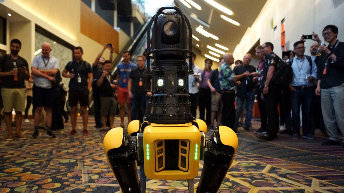 Розваги робота-собаки і живого пса показали на веселому відео