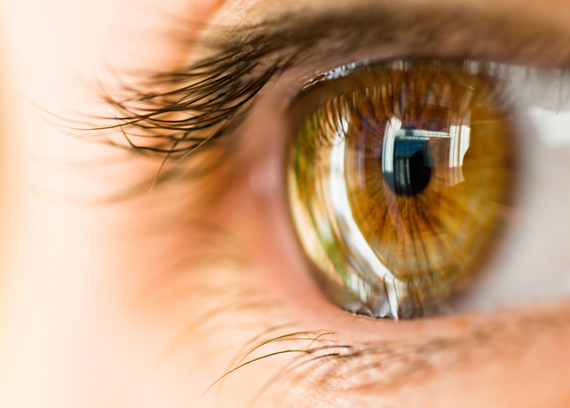 Науковці вперше надрукували на 3D-принтері рогівку ока