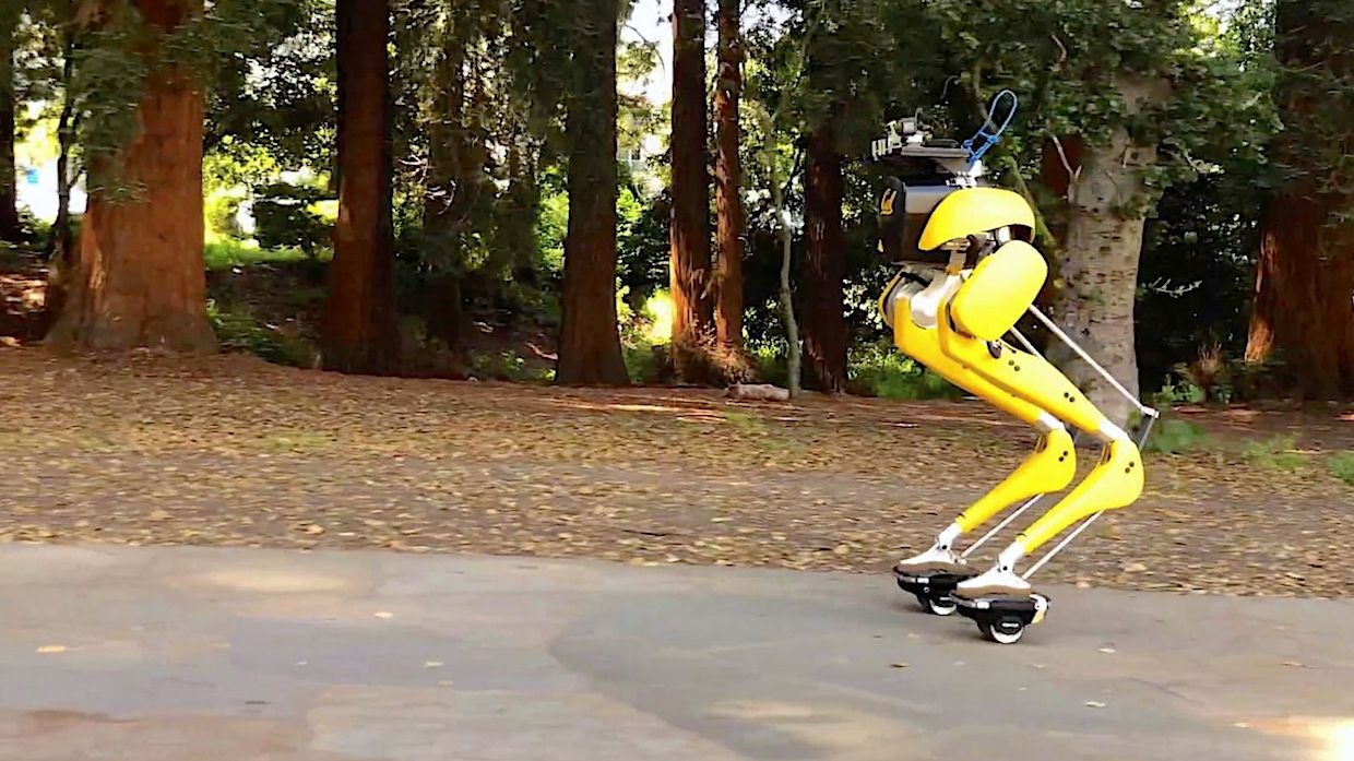 Двоногий робот Cassie навчився їздити на гіророликах: відео