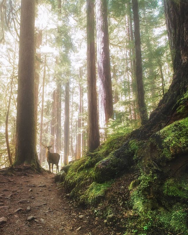 Особлива краса Канади, яку не бачать туристи: яскраві фото - фото 332776