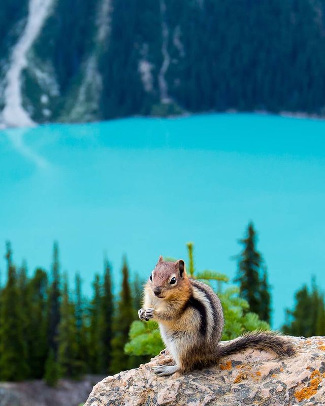 Особлива краса Канади, яку не бачать туристи: яскраві фото - фото 332784