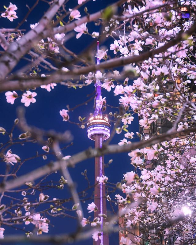 Особлива краса Канади, яку не бачать туристи: яскраві фото - фото 332786