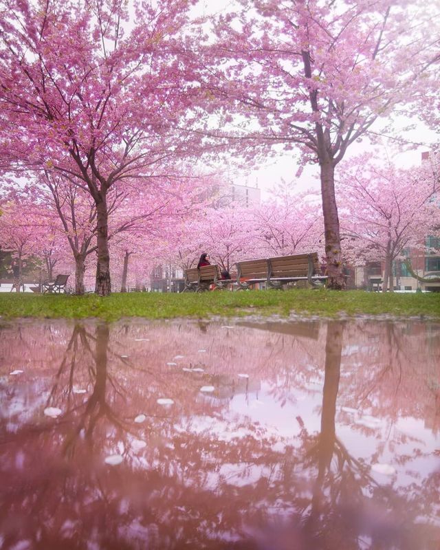 Особлива краса Канади, яку не бачать туристи: яскраві фото - фото 332787