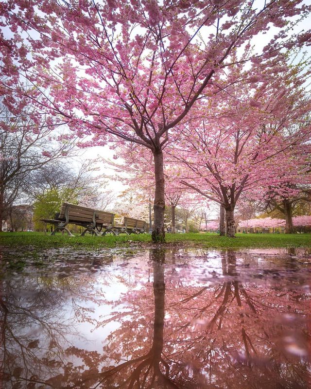 Особлива краса Канади, яку не бачать туристи: яскраві фото - фото 332789