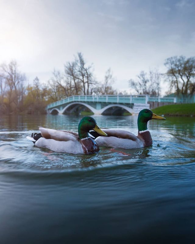 Особлива краса Канади, яку не бачать туристи: яскраві фото - фото 332791