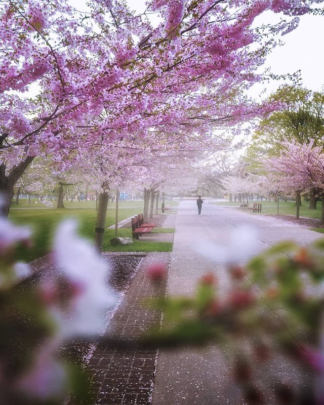 Особлива краса Канади, яку не бачать туристи: яскраві фото - фото 332793