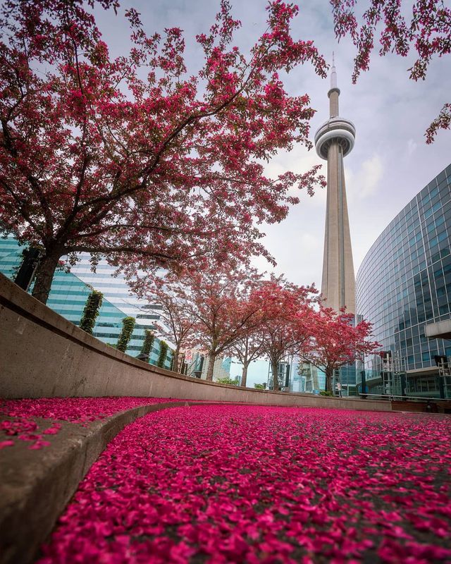 Особлива краса Канади, яку не бачать туристи: яскраві фото - фото 332794