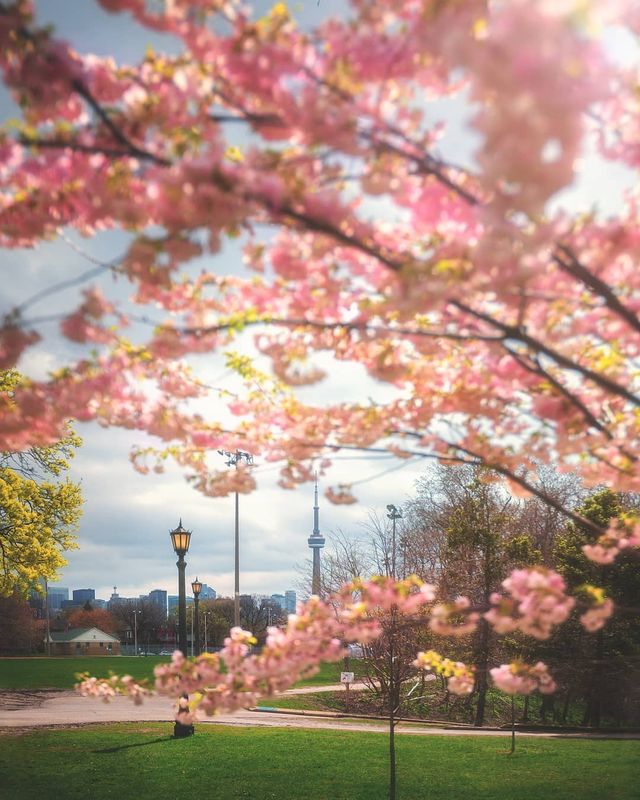 Особлива краса Канади, яку не бачать туристи: яскраві фото - фото 332795