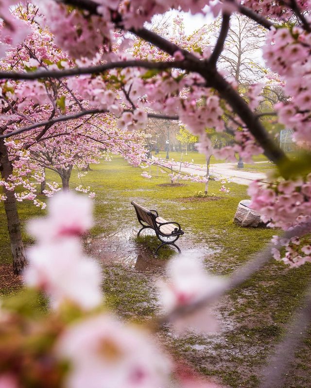 Особлива краса Канади, яку не бачать туристи: яскраві фото - фото 332796