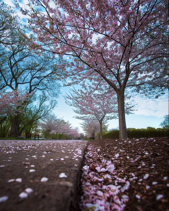 Особлива краса Канади, яку не бачать туристи: яскраві фото - фото 332797