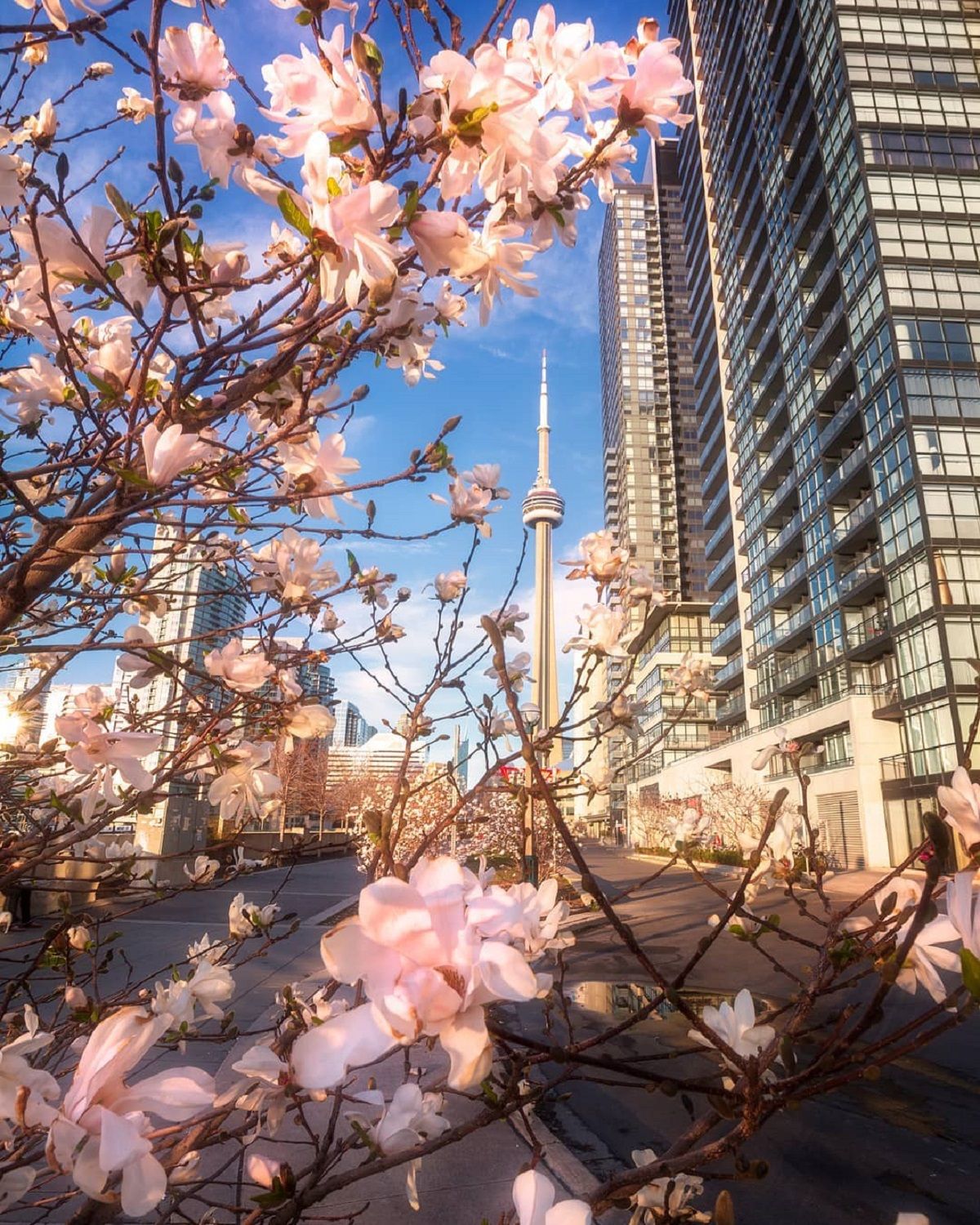 Подорожі Канадою - фото 1