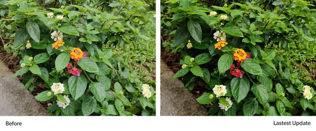 OnePlus 7 Pro отримав чергове оновлення: тепер камера просто вогонь - фото 332906