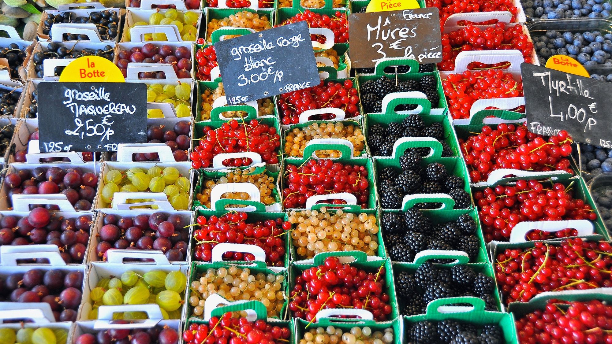 Про користь шовковичі, вишні та черешні - фото 1