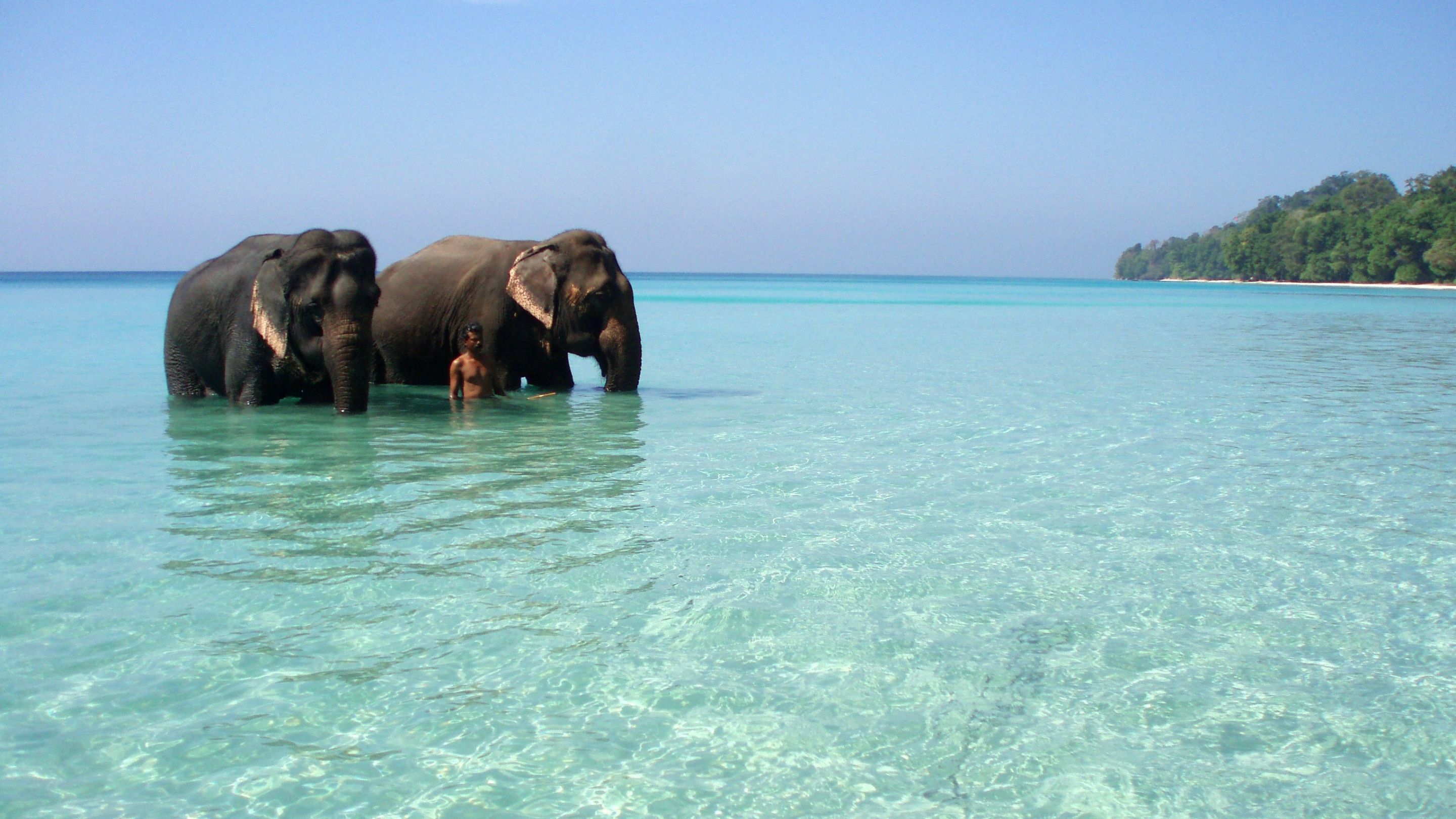 В Індії зафіксована рекордна 50-градусна спека