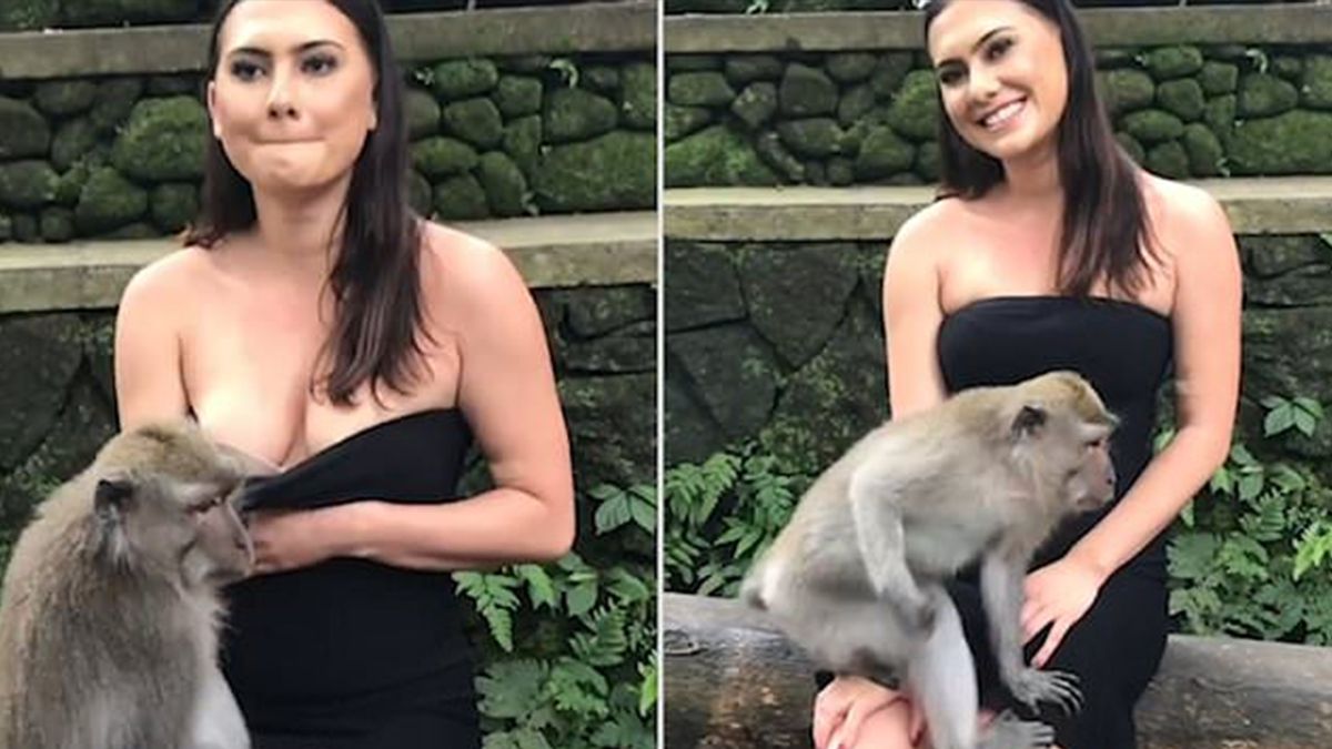 Мавпа випадково оголила груди туристці: епічне відео