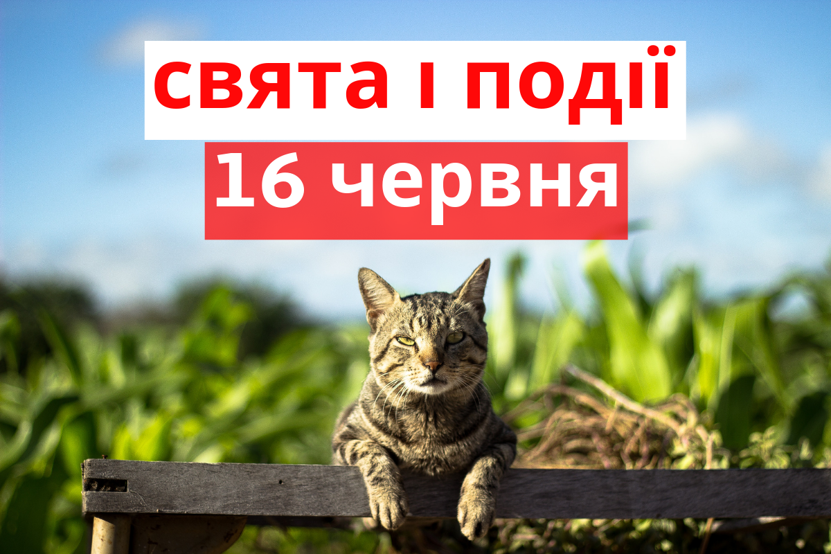 16 червня 2019 – яке сьогодні свято: традиції, заборони і прикмети