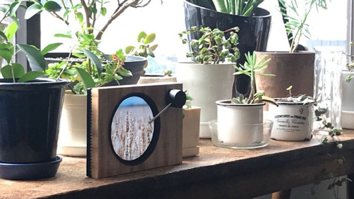 У Японії створили пристрій для підняття настрою