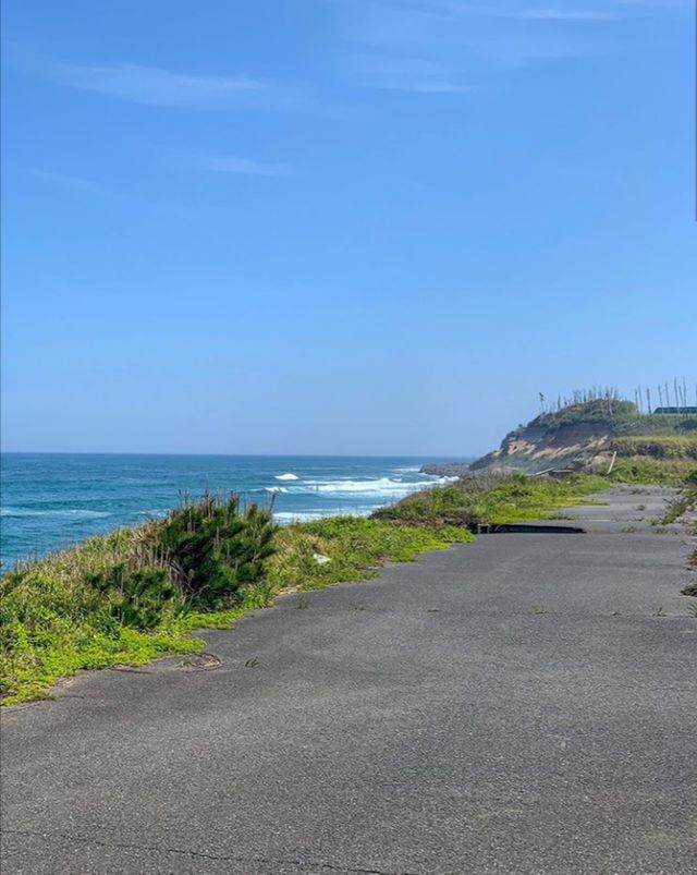 Як зараз виглядає занедбана Фукусіма - фото 333259