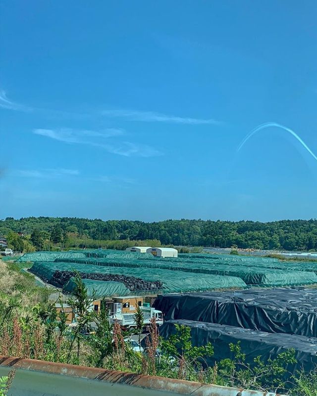 Як зараз виглядає занедбана Фукусіма - фото 333260