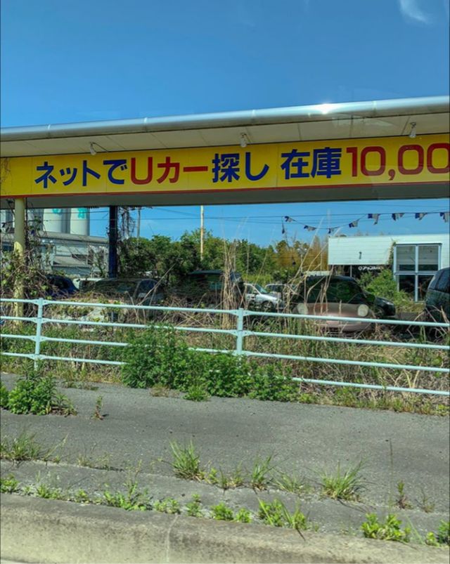 Як зараз виглядає занедбана Фукусіма - фото 333265