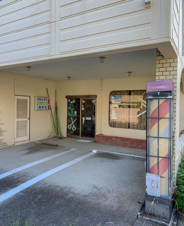 Як зараз виглядає занедбана Фукусіма - фото 333266