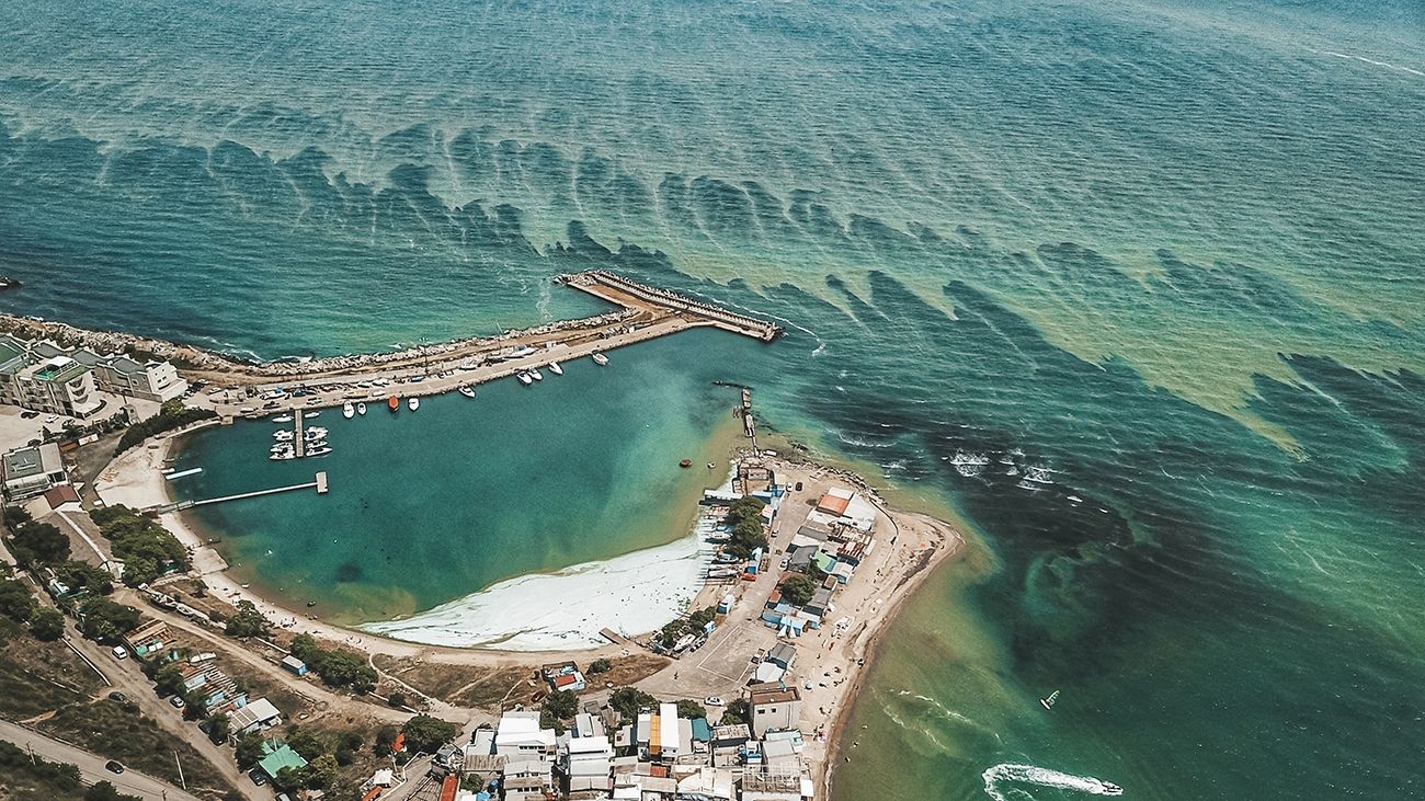 Купатися заборонено! Позеленіле море Одеси у свіжих знімках