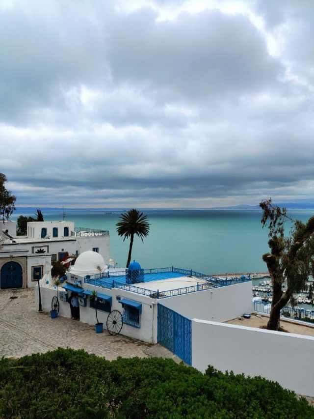 Місто Сіді Бу Саїд - фото 333642