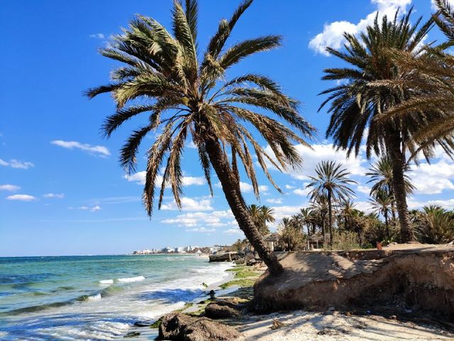 Пляж у Суссі - фото 333653