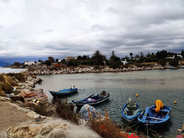 Військовий порт на околицях столиці Туніс - фото 333654