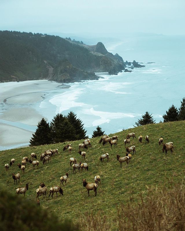 Американець надихає на мандри яскравими фото - фото 333715