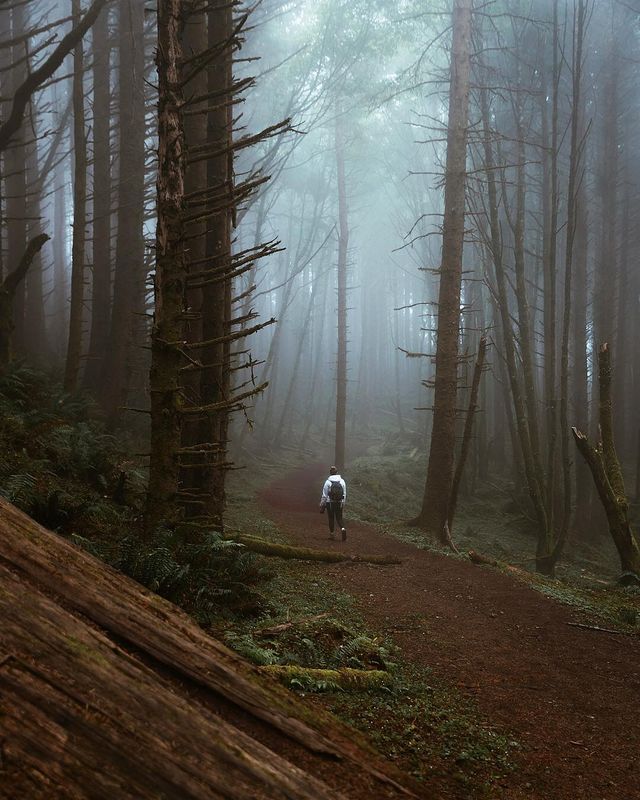 Американець надихає на мандри яскравими фото - фото 333717