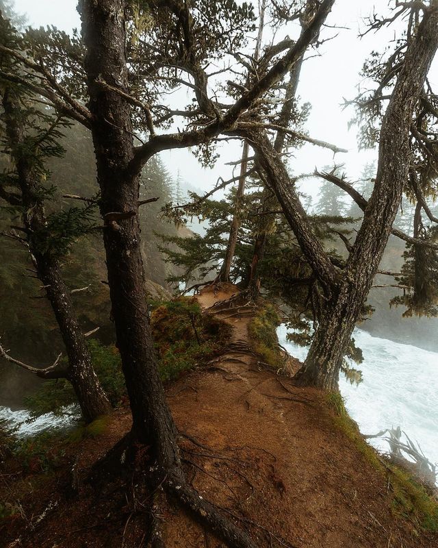 Американець надихає на мандри яскравими фото - фото 333723