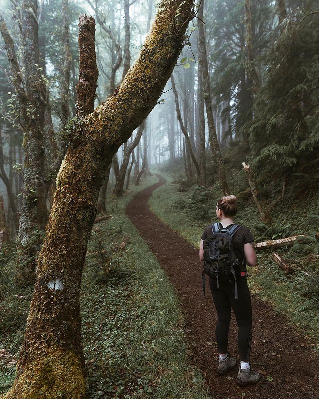 Американець надихає на мандри яскравими фото - фото 333733