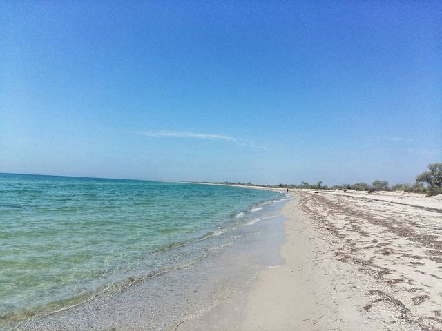 instagram.com/zoriana_saiko - фото 333824