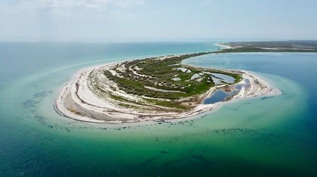 instagram.com/entuziastka - фото 333825