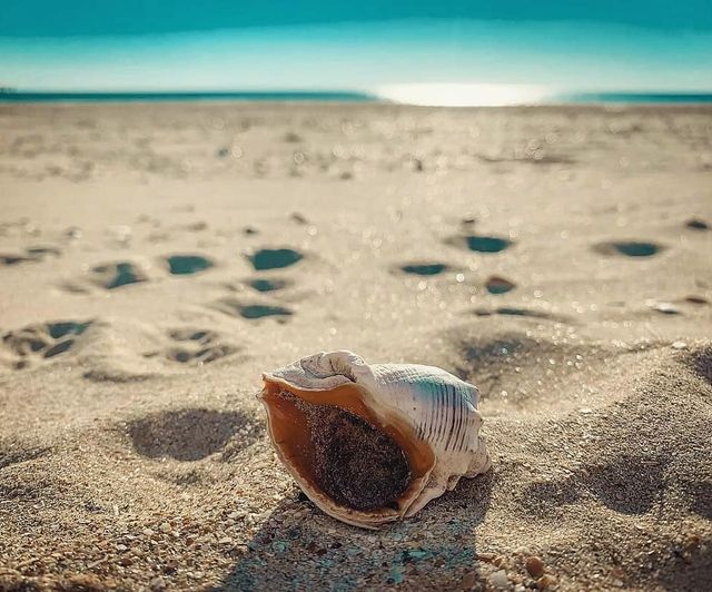 instagram.com/iloveskadovsk - фото 333827