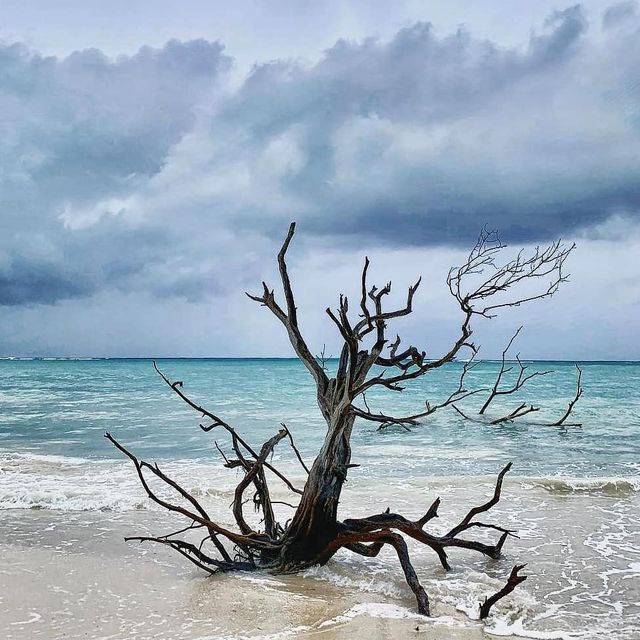 instagram.com/iloveskadovsk - фото 333828