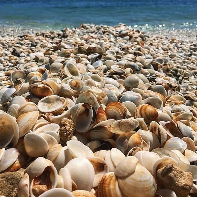 instagram.com/iloveskadovsk - фото 333830