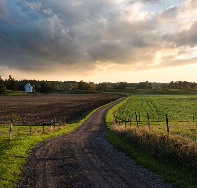 Захоплива подорож Швецією у яскравих фото - фото 334160