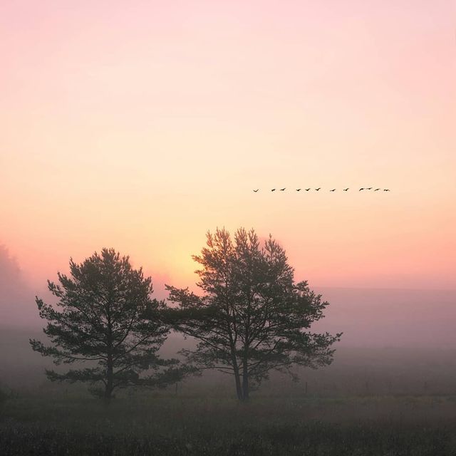 Захоплива подорож Швецією у яскравих фото - фото 334164