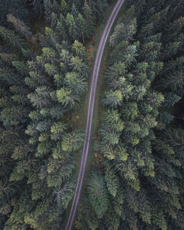 Захоплива подорож Швецією у яскравих фото - фото 334165