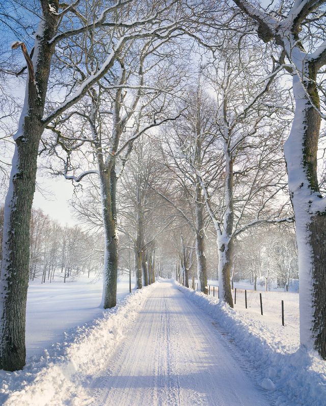 Захоплива подорож Швецією у яскравих фото - фото 334166