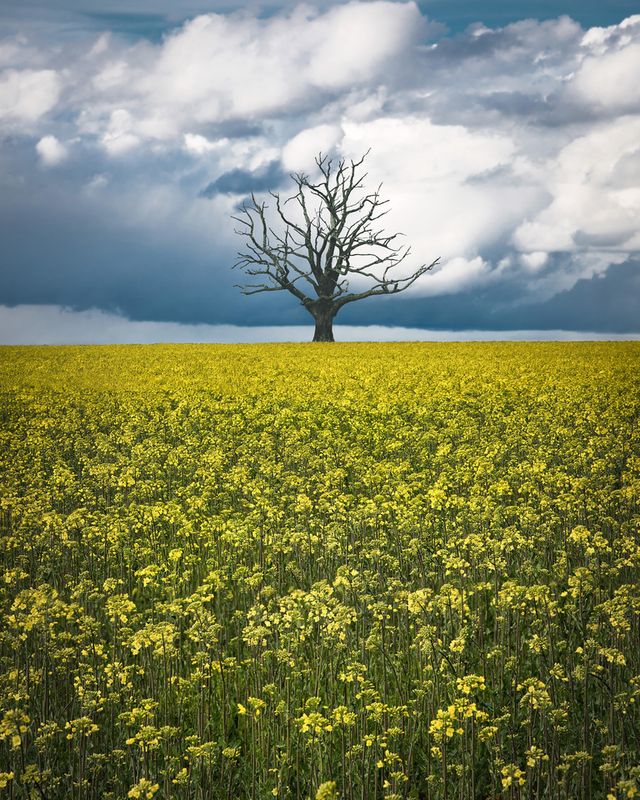 Захоплива подорож Швецією у яскравих фото - фото 334171