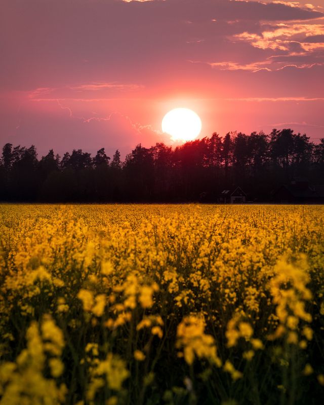 Захоплива подорож Швецією у яскравих фото - фото 334172