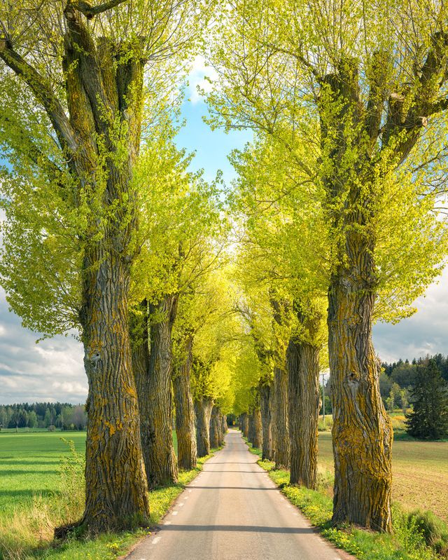 Захоплива подорож Швецією у яскравих фото - фото 334173