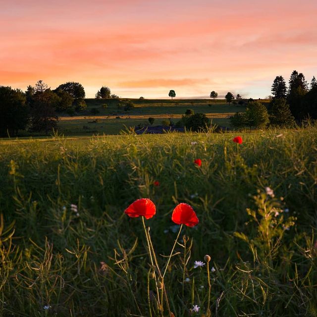 Захоплива подорож Швецією у яскравих фото - фото 334178