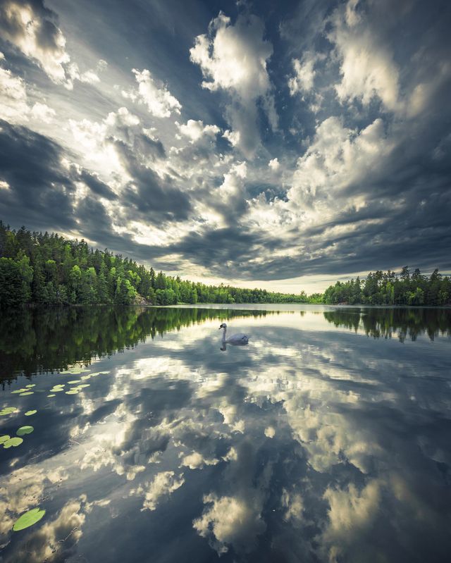 Захоплива подорож Швецією у яскравих фото - фото 334181