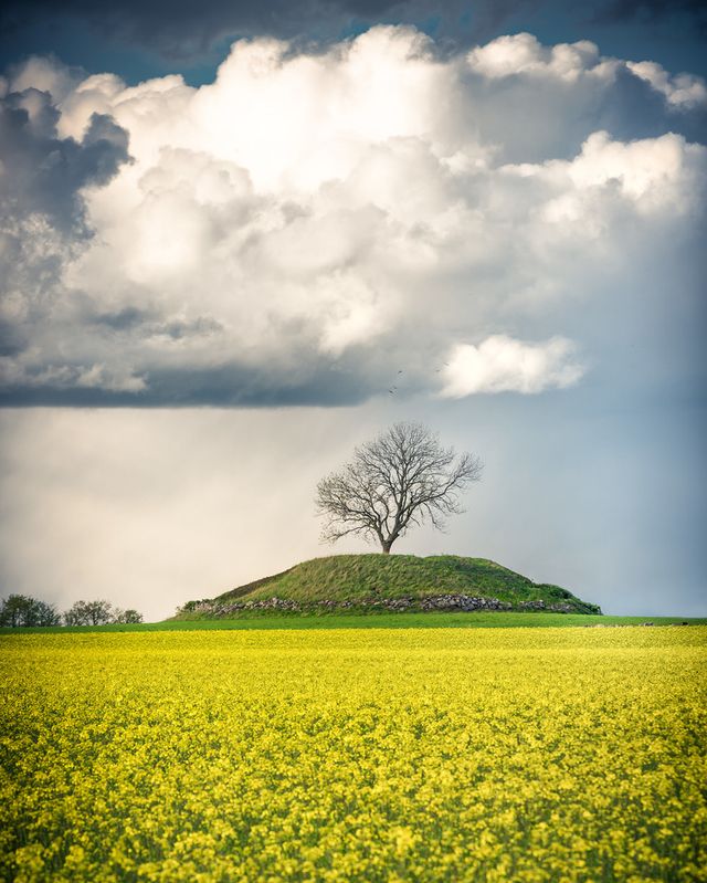 Захоплива подорож Швецією у яскравих фото - фото 334183