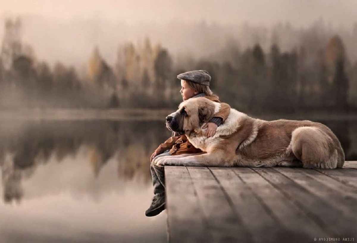 Викрадений собака зустрівся з господарями через два роки: відео, яке розчулює