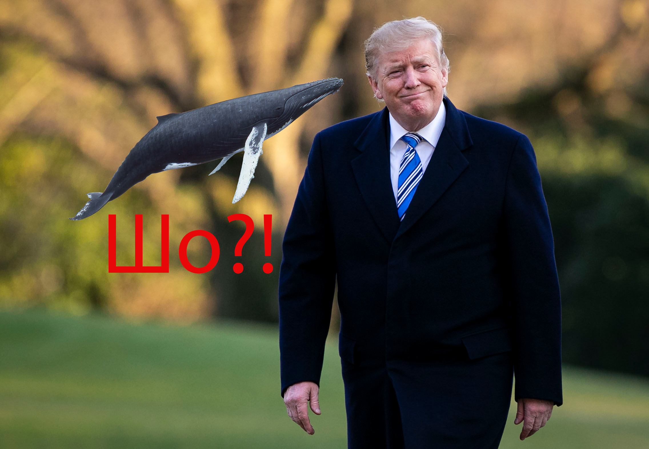 Дональд Трамп назвав принца Чарльза китом: мережу всіяли кумедні меми